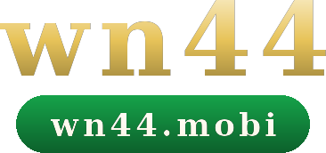 wn44 logo